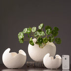 Organic Bubble Cloud Ceramic Vase - Textured Modern Minimalist Decor