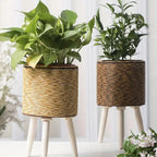 Woven Rattan Planter with Wooden Stand - Boho Plant Pot Holder